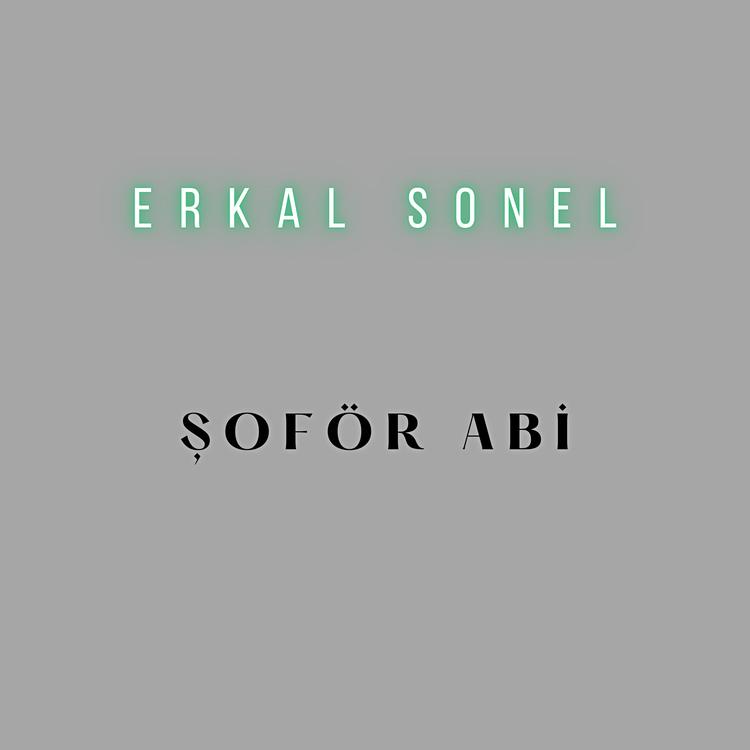 Erkal Sonel's avatar image