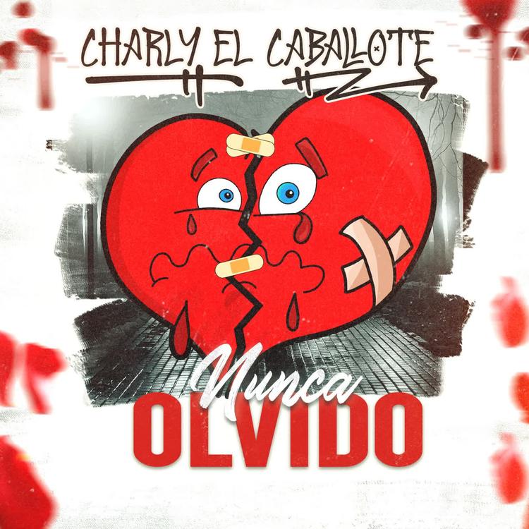 charlyelcaballote's avatar image