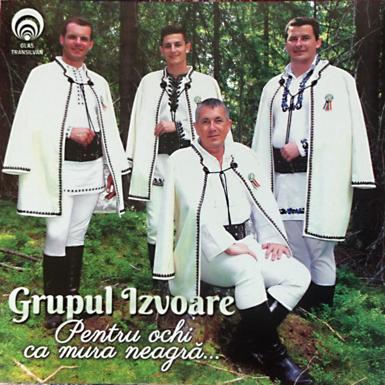 Grupul IZVOARE's avatar image