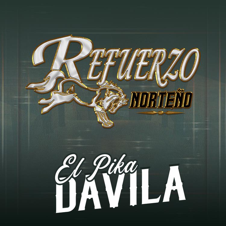 Refuerzo Norteño's avatar image