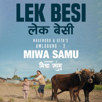 LEK BESI's cover