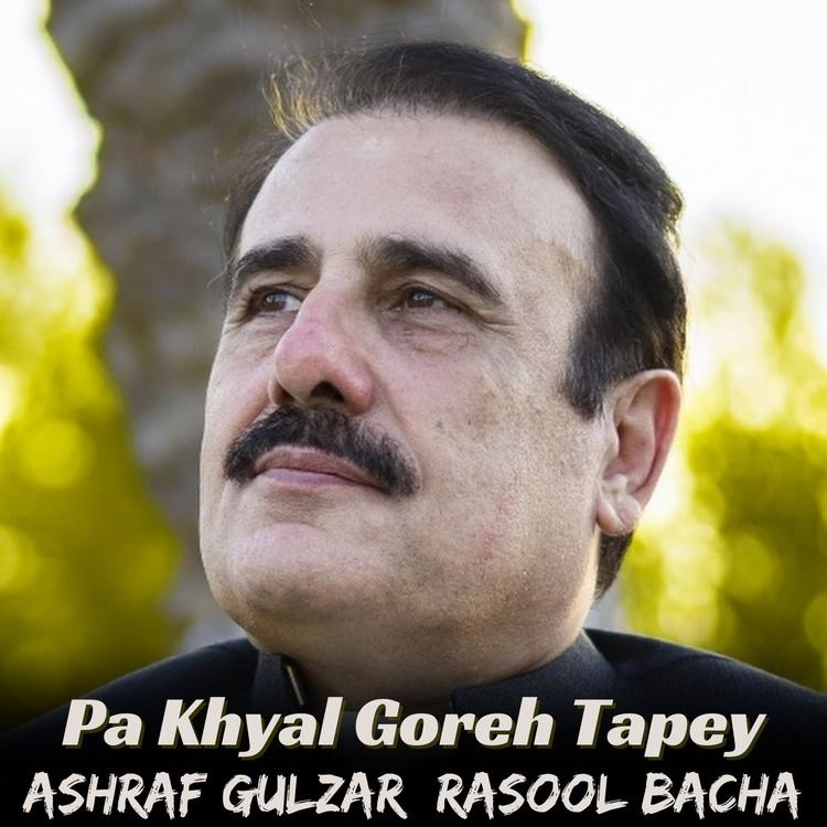 Gulzar Alam's avatar image