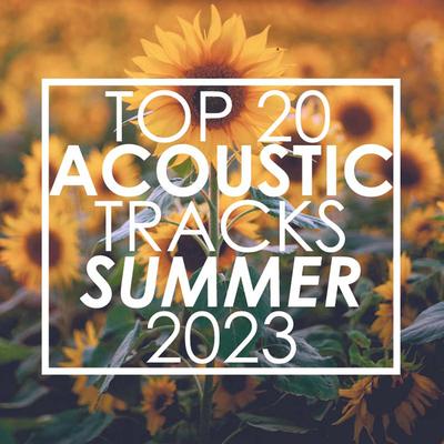 Top 20 Acoustic Tracks Summer 2023 (Instrumental)'s cover