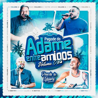 Metade da Metade (Ao Vivo) By Pagode do Adame's cover