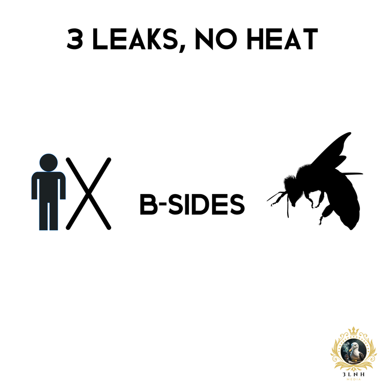 3 Leaks, No Heat's avatar image