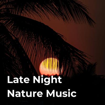 Late Night Nature Music's cover