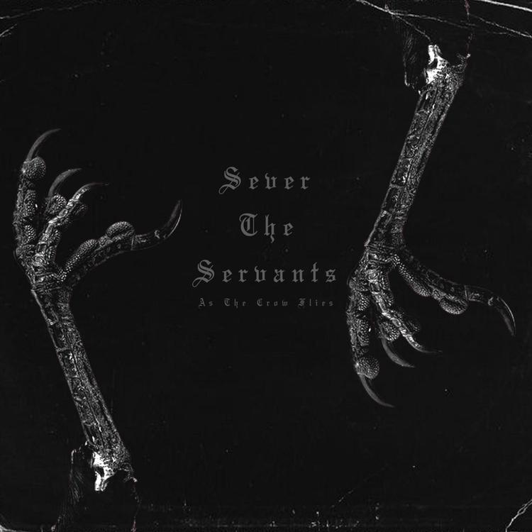 Sever the Servants's avatar image