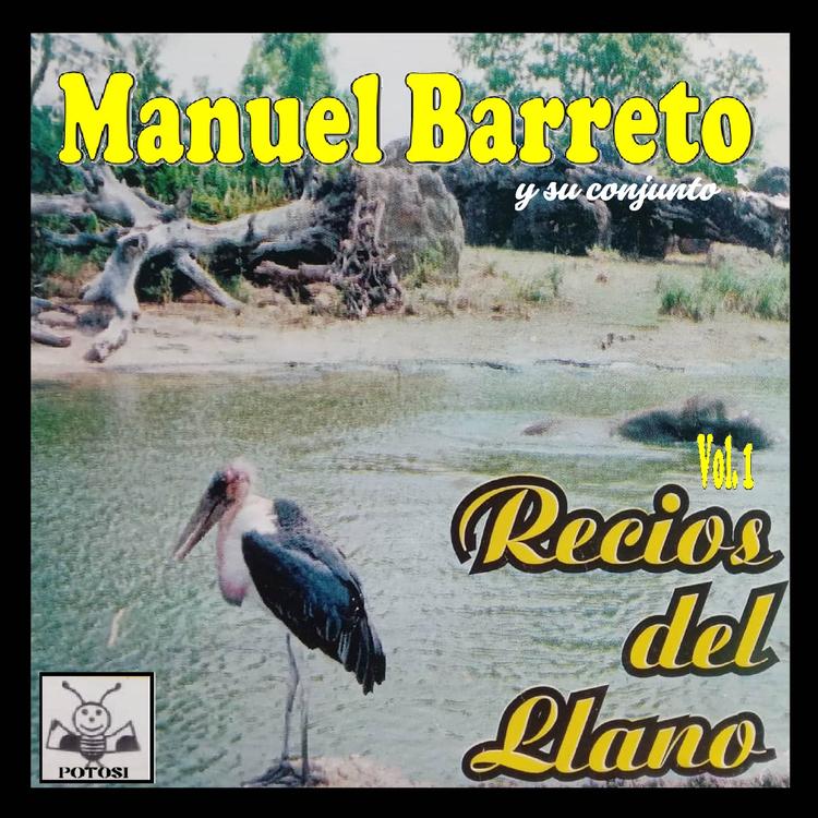 Manuel Barreto's avatar image