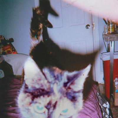 Cat in the Wall (2019 Demo)'s cover