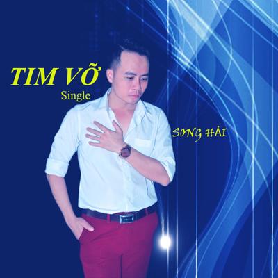 Song Hải's cover