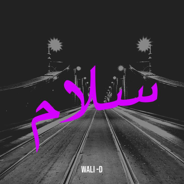Walid's avatar image