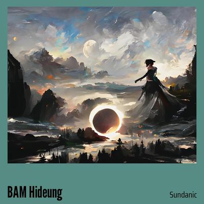 BAM Hideung's cover