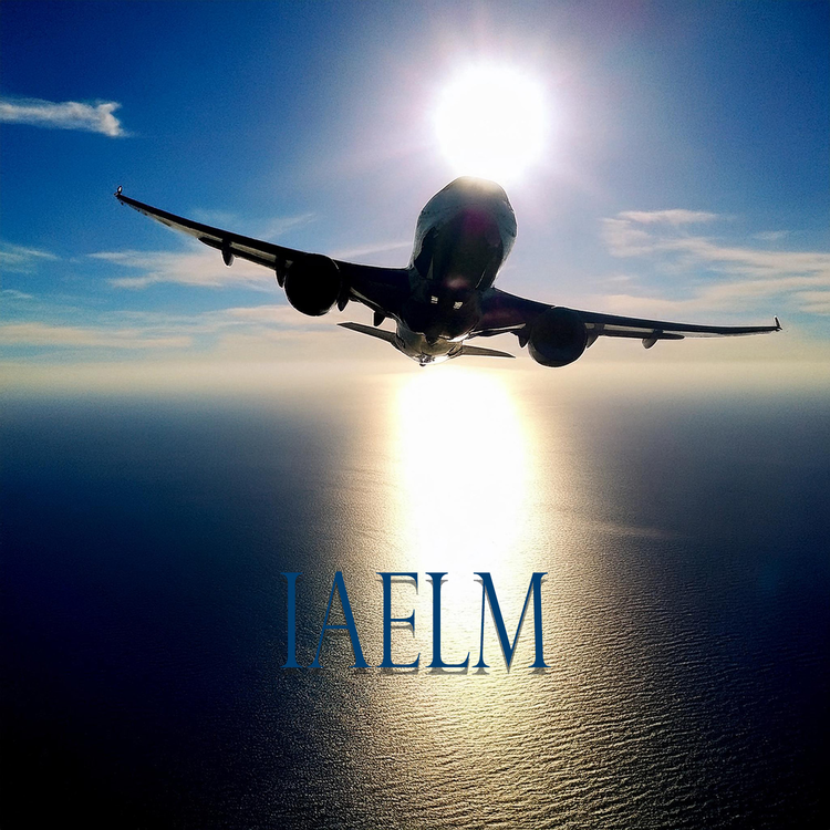 IAELM's avatar image