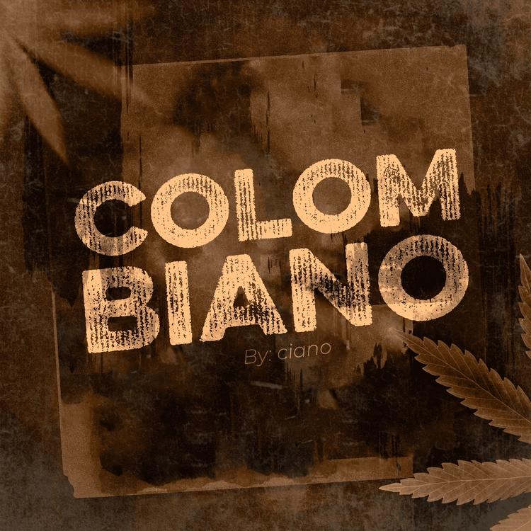 Ciano's avatar image