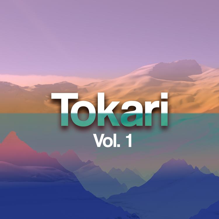 Tokari's avatar image