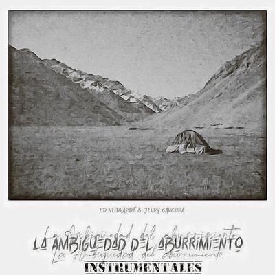 La Ambigüedad del Aburrimiento (Instrumentales)'s cover