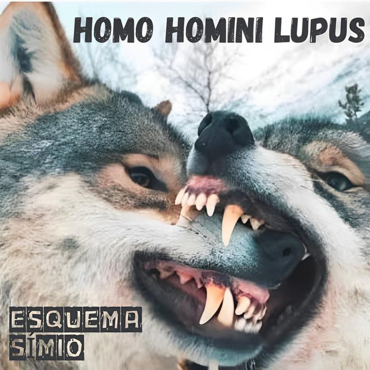 Esquema Símio's avatar image