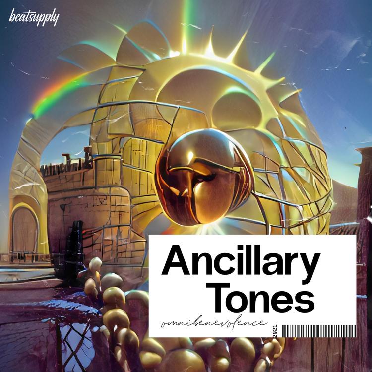 Ancillary Tones's avatar image