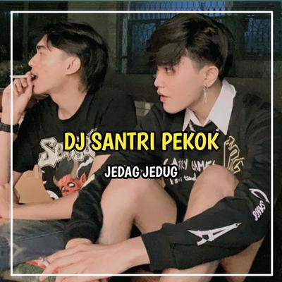 Dj Santri Pekok Viral TikTok Terbaru's cover