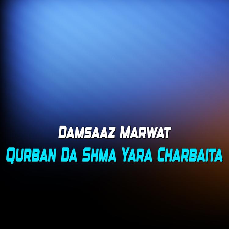 Damsaaz Marwat's avatar image