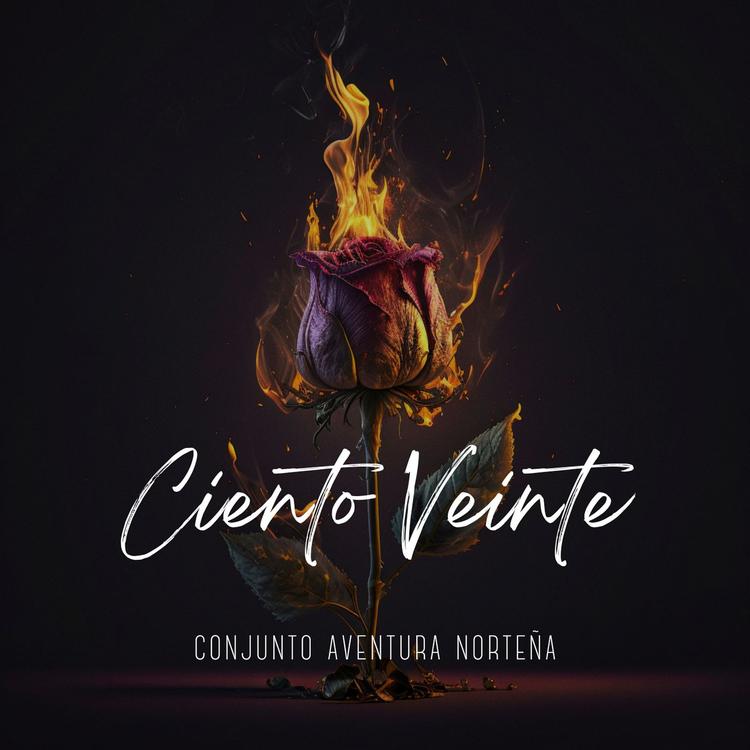 Conjunto Aventura Norteña's avatar image