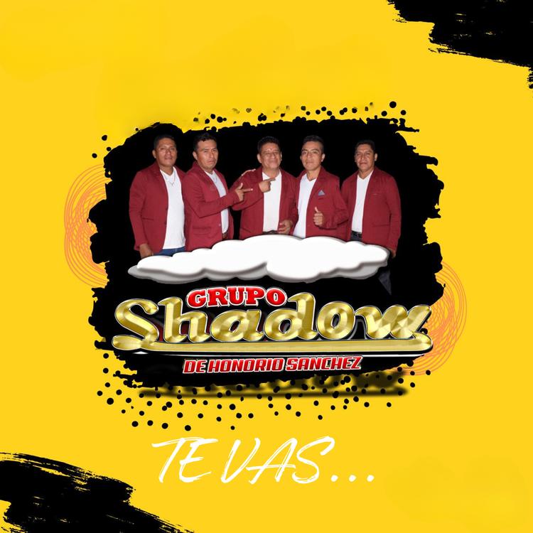 Grupo Shadow's avatar image