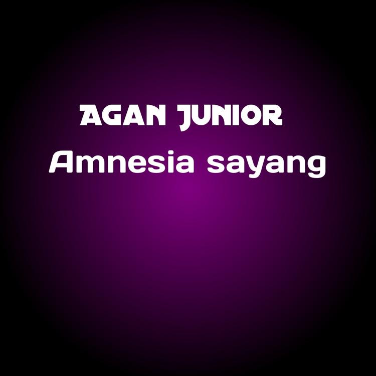 Agan Junior's avatar image