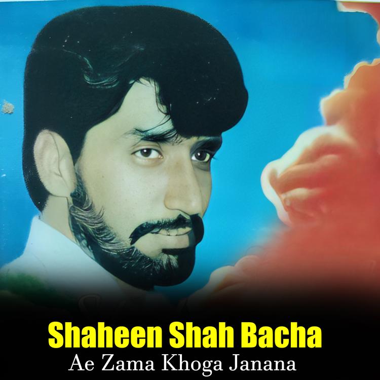 Shaheen Shah Bacha's avatar image