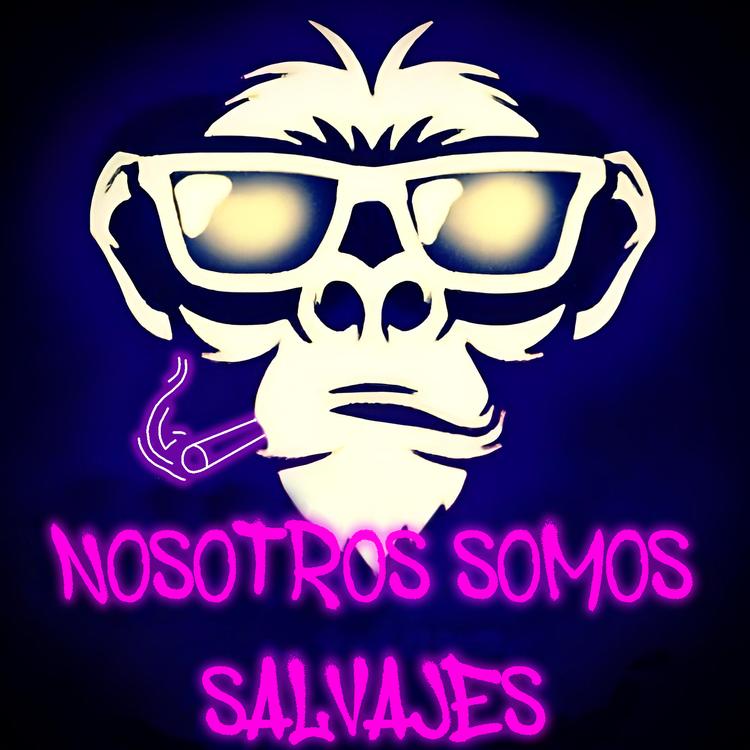 Nosotros Somos Salvajes's avatar image