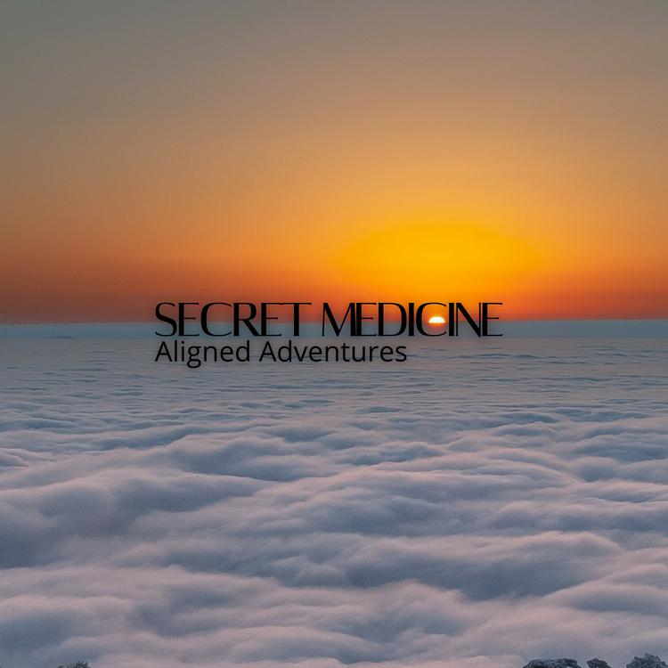 Secret Medicine's avatar image