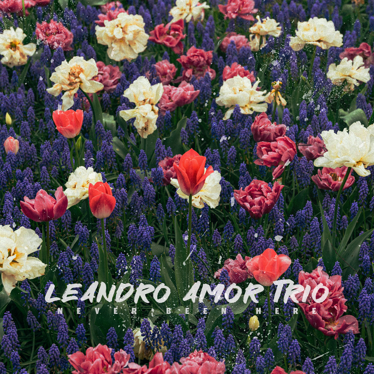 Leandro Amor Trio's avatar image