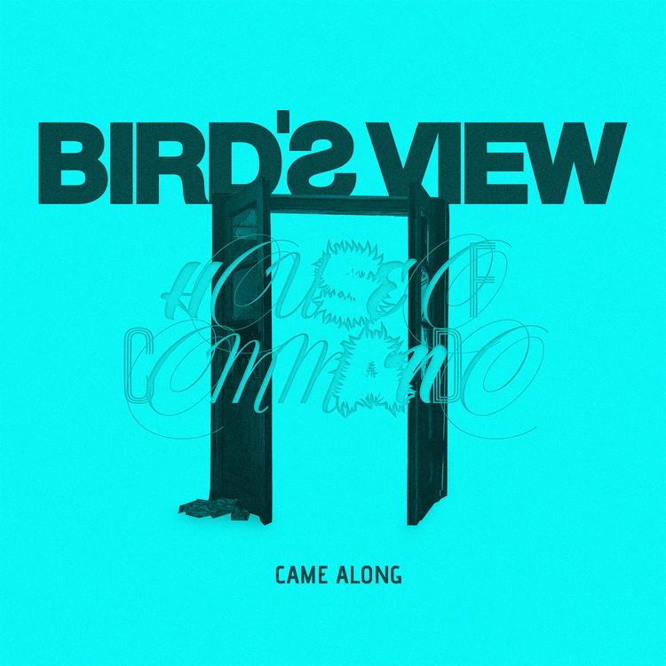 Bird's View's avatar image