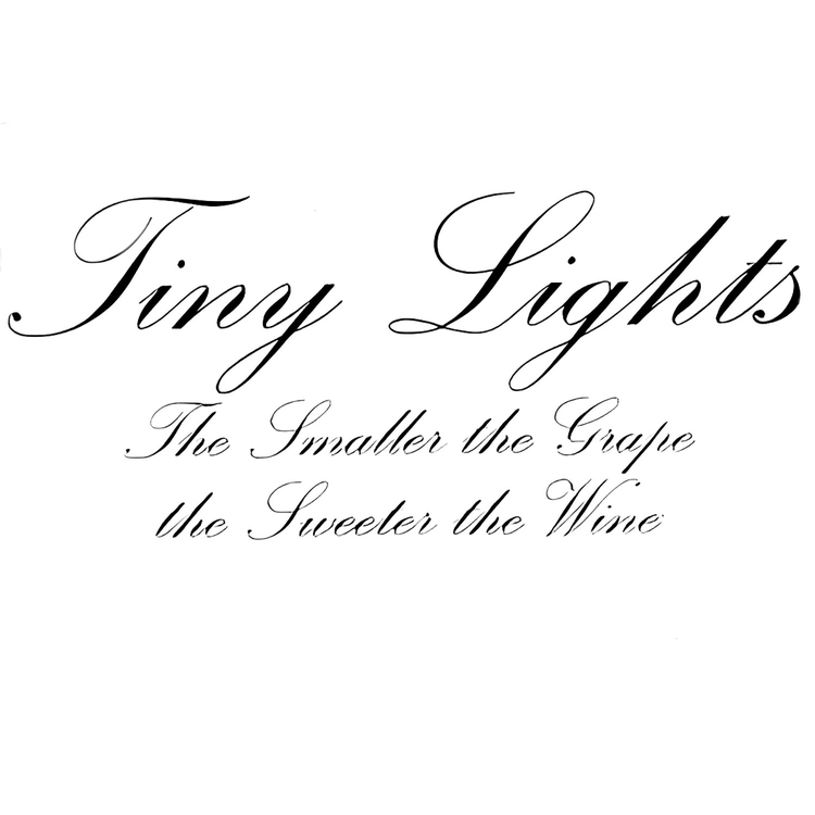 Tiny Lights's avatar image