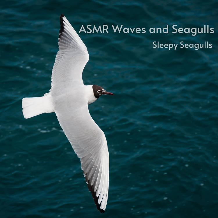 ASMR Waves and Seagulls's avatar image