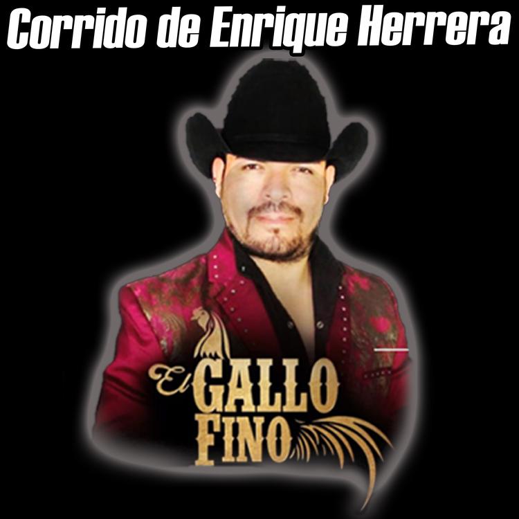 El Gallo Fino's avatar image
