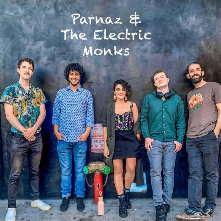 Parnaz & The Electric Monks's avatar image