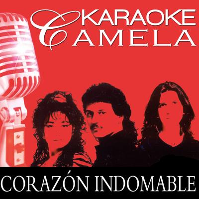 Karaoke Camela Corazon Indomable Playback's cover