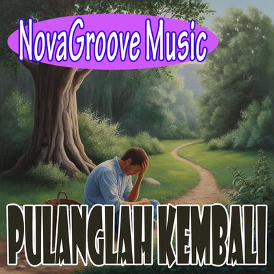 NovaGroove Music's cover