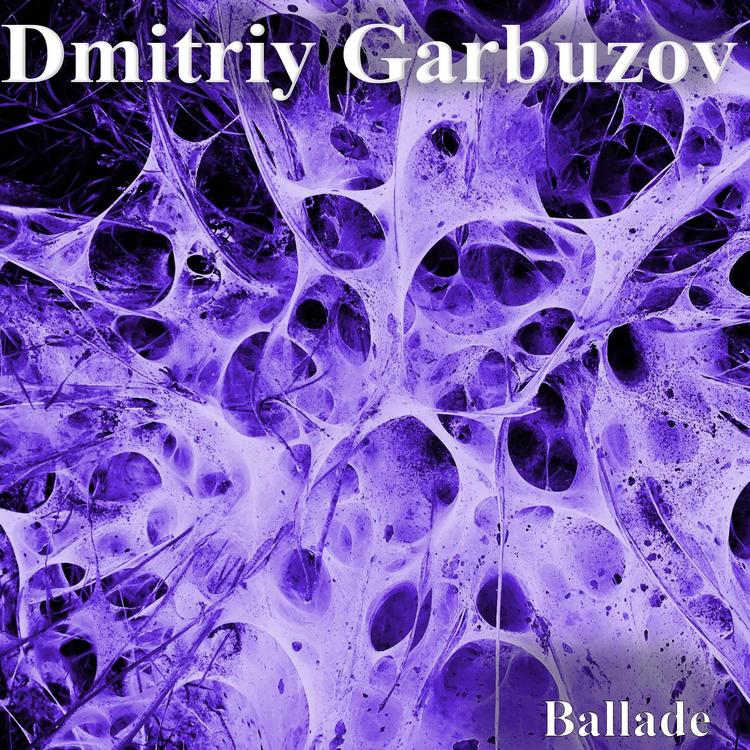 Dmitriy Garbuzov's avatar image