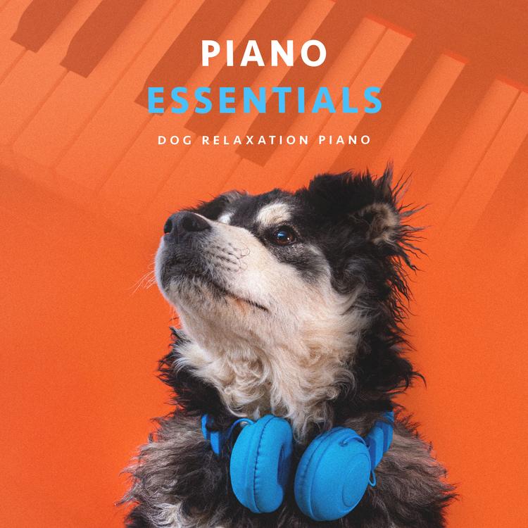 Dog Relaxation Piano's avatar image
