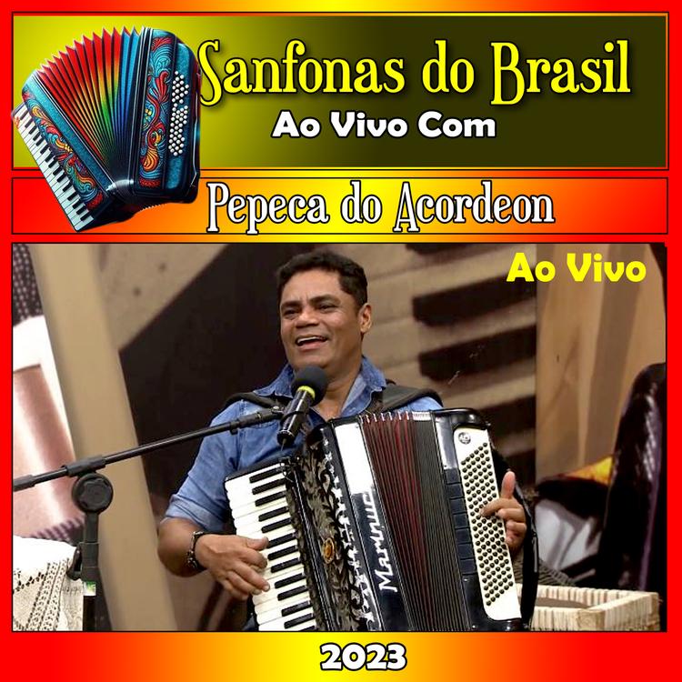 Pepeca do Acordeon's avatar image