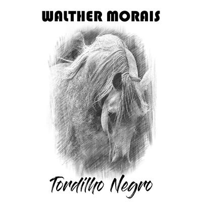 Tordilho Negro By Walther Morais's cover