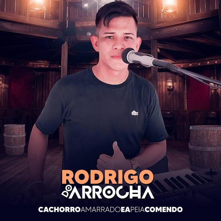 Rodrigo do Arrocha's avatar image