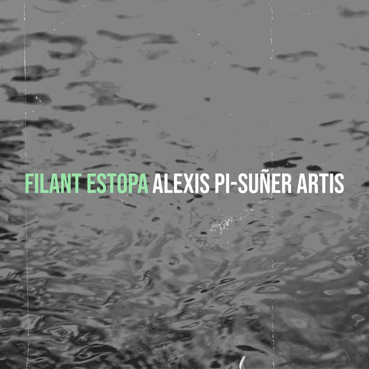 Alexis Pi-Suñer Artís's avatar image