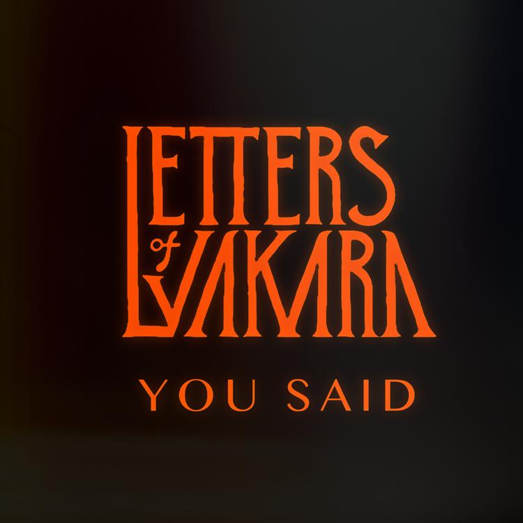 Letters of Vakāra's avatar image