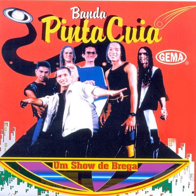 Apadrinhada By Banda Pinta Cuia's cover