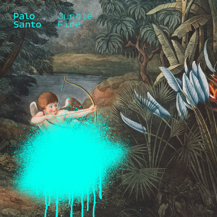 Palo Santo's avatar image