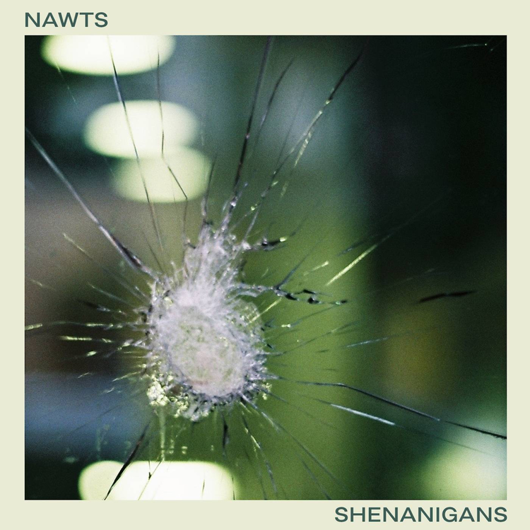 NAWTS's avatar image