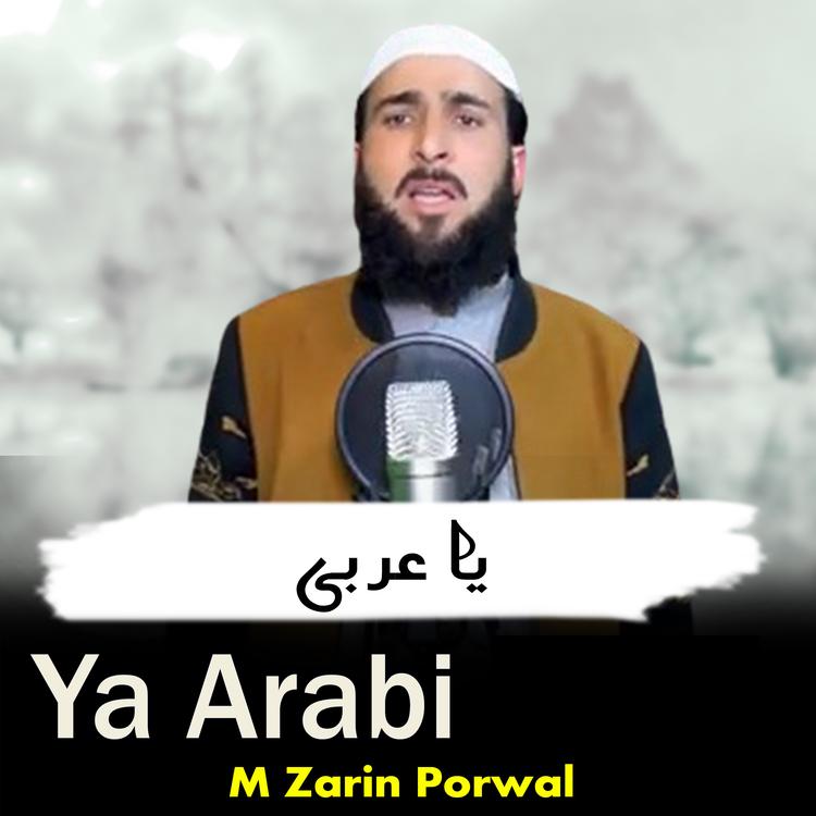 M Zarin Porwal's avatar image