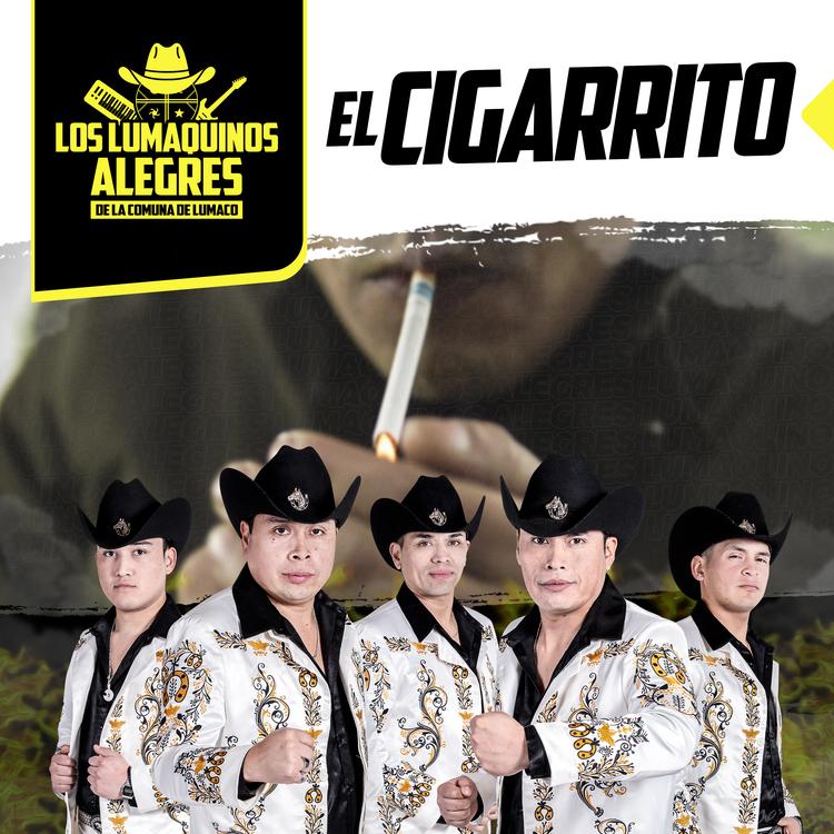 Los Lumaquinos Alegres's avatar image